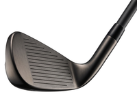 Mazze da golf — dettaglio 2
